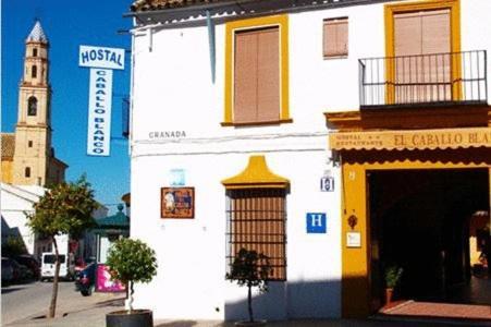 Hostal El Caballo Blanco 오수나 외부 사진